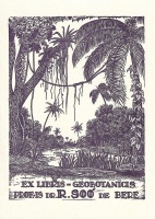 Különböző grafikus művészek: 22 ex libris
