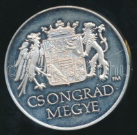 1993. 'Országos Megyegyűlés Ópusztaszer-Csongrád Megye' ezüstözött ffém emlékérem T:PP