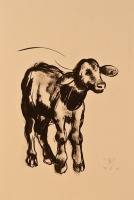 Pleidell János (1915 - 2007): Borjú (1960)