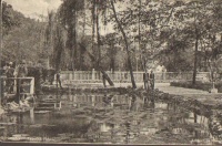 Görömböly - Tapolca fürdő. Lótusz parkrészlet. Í.