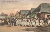 Magyar paraszt menyegző. C.