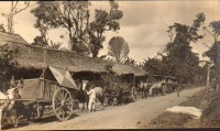 Ceylon. Colombo mellett.