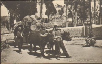 Constantinople. Chariot Turc.