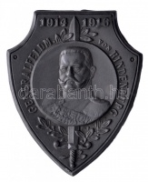 Osztrák-Magyar Monarchia 1914-16. 'Hindenburg főtábornagy' cink sapkajelvény (40x33mm) készítő: Brüder Schneider Wien 5; tű nélkül T:1-
    Austro-Hungarian Monarchy 1914-16. 'GENERALFELDM. von HINDENBURG' zin cap badge (40x33mm) ma