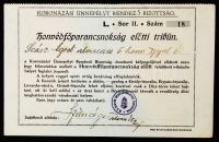 1916 IV. Károly király koronázása. Fotó a várakozókról, hozzá Szász Ágoston alezredes nevére szóló belépő az ünnepségre /
&lt;br/&gt;1916 Photo of the crowning ceremony of Carl IV. king of Hungary and an entry ticket for the ceremon