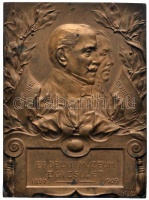 Ifj. Vastagh György (1868-1946) 1909. 'Dr. Mikó Imre - Gr. Kemény József / Erdélyi Múzeum Egyesület 1859-1909' Br plakett (60x44mm/89.6g) T:2,2-
&lt;br/&gt;Hungary 1909. 'Dr. Imre Mikó - Gr. József Kemény / Transylvanian Museum Society 1859