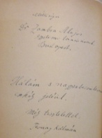TERNAI Kálmán: Alfredo Panzini.