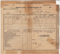 1878 Tiszavidéki Vaspálya Társaság feladási vevény Debreczen T.V. (celluxszal megerősítve)