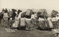 Sand carriers on Kest, Canary Islands