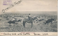 Watching the Herd grazing, cowboy, folklore from Texas (fl)