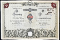 Budapest 1935. 'Salgó-Tarjáni Kőszénbánya Részvény-Társulat' részvénye 750P-ről, szelvényekkel, szárazpecséttel, felülbélyegezve T:II-