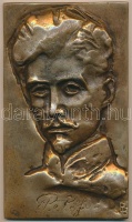 Bajnok Béla (1937-) 1973. 'Petőfi Sándor / Bács-Kiskun megye 1973' Br plakett (126x76mm) T:2