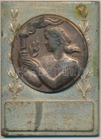 Boldogfai Farkas Sándor (1907-1970) 1959. 'Nevelőotthonok Országos Versenye' Br plakett (52x70mm) T:2