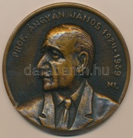Novotarszky István (1909-) DN 'Prof. Ángyán János 1924-1959' Br emlékérem (97mm) T:2 hátlapon ragasztásnyom