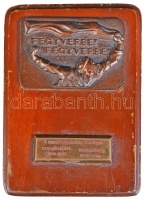 1959. 'Fegyverbe! Fegyverbe! - A munkáshatalom hűséges szolgálatáért, Munkásőrség IV. kerületi parancsnokság' Br plakett fatalpon T:2