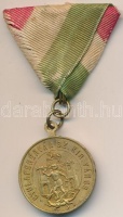 1893. 'Gyulafehérvár Sz. Kir. Város / A Gyulafehérvári Ö. T. Egyl. Zászlója Felszentelési Emléke 1893 VIII/30.' aranyozott fém emlékérem, karika cserélt, mellszalaggal T:2-
