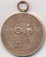 DN 'Budapesti Testgyakorlók Köre - Erő, Bátorság, Ügyesség / II' Br díjérem (38mm) T:2-