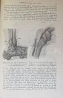 Neue deutsche Klinik. Handwörterbuch der praktischen Medizin. Bde. III, IV, VIII, IX, XV/5. Hrsg. v. Georg u. Felix Klemperer. Berlin-Wien, 1929-1938, Urban & Schwarzenberg. Kiadói aranyozott félbőr kötésben, illusztrációkkal, jó