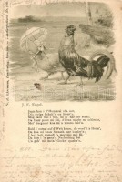 1899 Rooster-chicken love couple, humour, Fr. A. Ackermann Künstlerpostkarte No. 546. s: J. F. Engel (EK)