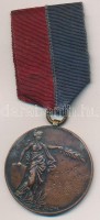 1938-1939. 'Camp Liga de Nord 1938-1939 / Borbély Micu' bronzozott fém érem mellszalagon, 'DUKÁSZ ARAD AD' gyártói jelzéssel. Szign.: BERKOVICS (40mm) T:2-