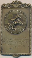 1941. 'A Gázművek Sakkcsapatában elért kiváló eredményeiért 1940-41. évad I. díj' Br sakk díjérem 'LUDVIG BP.' gyártói jelzéssel (86,5x49mm) T:2