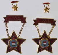 ~1960-1970. 'Kiváló Dolgozó' kitüntetés (2x) két miniatűrrel, tokban T:1-,2