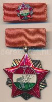 ~1970. 'Szakszervezetek Országos Tanácsa' ezüst fokozatának kitüntetése, szalagsávon miniatűrrel eredeti dísztokban T:1-,2