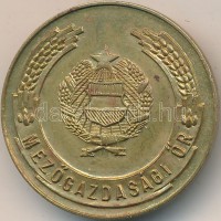 ~1970. 'Mezőgazdasági Őr' fém jelvény (30mm) T:2