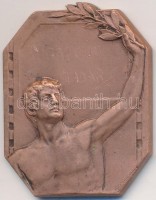 DN 'Műegyetemi Athletikai és Football Club Versenydíja' Br díjérem. Szign.: Dertel-Berlin (34x26mm) T:2,2- karc