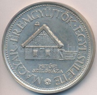 Lapis András (1942-) 1981. '10 éves a Kiskőrösi Csoport' Ag emlékérem (34,89g/0.640/42,5mm) T:2