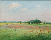 Gyalai Béla (1951): Pipacsos mező