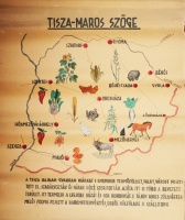 Tisza-Maros szöge. Kézzel készített, illusztrált térkép a terület ipari termékeiről, rövid ismertetővel.