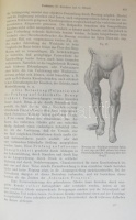 Neue deutsche Klinik. Handwörterbuch der praktischen Medizin. Bde. III, IV, VIII, IX, XV/5. Hrsg. v. Georg u. Felix Klemperer. Berlin-Wien, 1929-1938, Urban & Schwarzenberg. Kiadói aranyozott félbőr kötésben, illusztrációkkal, jó