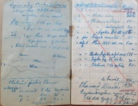 Bácsszentiváni Michailovics György vadászati fejlegyzései 1934-1945 közötti időszakban, az általa bérelt cecei és vajtai területekről.
