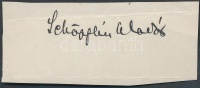 Schöpflin Aladár (1872-1950) magyar műkritikus, irodalomtörténész, író, műfordító. Aláírás kivágáson.