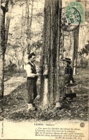 Landes, Resinier / French resin worker
