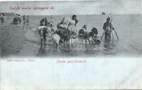 Scene pescherecce / fishing