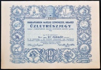 Budapest 1943. 'Diákkaptárosok Hajózási Szövetkezete, Budapest' üzletrészjegy 5P-ről szelvényekkel T:I-
