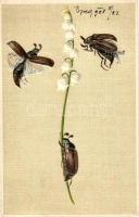 Májusi Cserebogár, harangvirág / Cockchafer, with campanula flower, Erika No. 3636, litho, Emb. (EK)