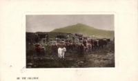 'By the Hillside' - Highland Cattle, Rotary Photographic Plate Sunk Gem Series