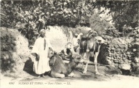 Dans l'Oasis / man with camels, Arabic folklore
