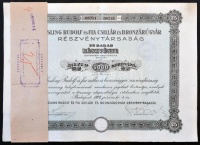 Budapest 1923. 'Kissling Rudolf és Fia Csillár és Bronzárugyár Részvénytársaság' 25db részvénye egyben összesen 5000K-ról, szelvényekkel, bélyegzésekkel, szárazpecséttel, kötegelővel T:III