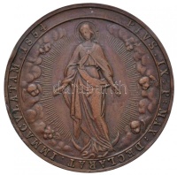 Ausztria 1855. 'IX. Pius / Szeplőtelen fogantatás dogmája' Br emlékérem. Készítő: Carlo Radnitzky (38mm) T:2- ph.
Austria 1855. 'Pius IX / Dogma of the Immaculate Conception' Br medal. 'PIVS IX P MAX DECLARAT IMMACVLATAM 1854 / VIRGINI -