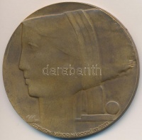 Csehszlovákia 1968. 'A Nemzeti Front Központi Bizottsága / Csehszlovákia 1918-1968' Br emlékérem. Szign.: Mlynar T:2
Czechoslovakia 1968. 'The Central Committee of the National Front / Czechoslovakia 1918-1968' Br medal (50mm). Sign.: Mlynar