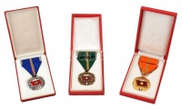 ~1960-1970. 'A Haza Szolgálatáért'  (3xklf) arany, ezüst és bronz fokozatok, mind mellszalagon, szalagsávval, dísztokban T:1,1-,2