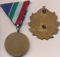 1965. 'Árvízvédelemért Érem' patinázott Br kitüntetés mellszalaggal + DN 'Magyar címer' fém jelvény (46x48mm) T:2
NMK 663