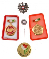 5db-os vegyes jelvény tétel, közte magyar szocialista jelvények egy osztrák címeres zománcozott fém jelvénnyel (28,5x28mm), ~1970-1980. 'Országos Béketanács' festett fém jelvény (34mm) T:vegyes