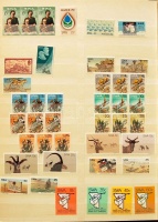 DÉL-AFRIKA, kisállamok és Délnyugat Afrika tétel berakóban / SOUTH AFRICA, States, SWA  lot in stockbook