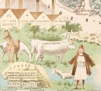 cca 1900 Hatschek Ignác: Szolnok Doboka vármegye közigazgatási térképe. Lithografált, grafikus. / Litho map of a Transylvanian county 27x39 cm