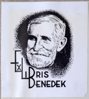 Fritz Schmitt: Der Bergsteiger von Heute. Entwicklung, Technik und Grundlagen des neuzeitlichen Bergsteigens. München, 1937. Rother, Egészvászon kötésben / In full linen binding